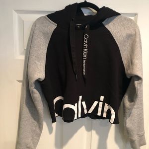 Calvin Klein Cropped Hoodie